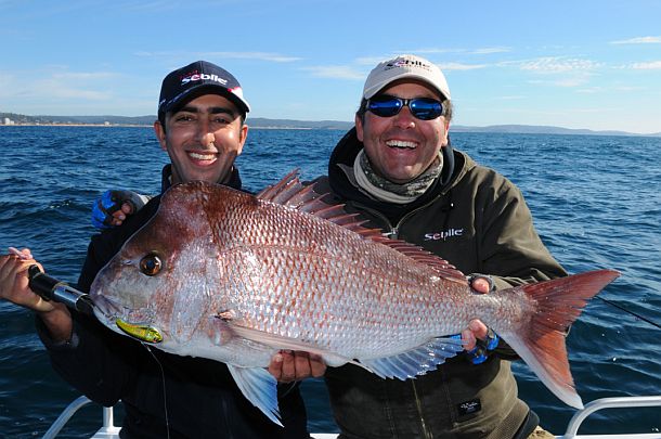Sydney snapper add to Sebile tally